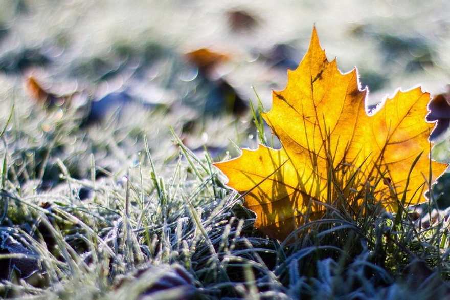 Вночі до 7° морозу: якою буде погода на Львівщині 5 листопада