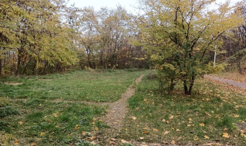 У парку «Знесіння» облаштують доступний простір для людей з інвалідністю