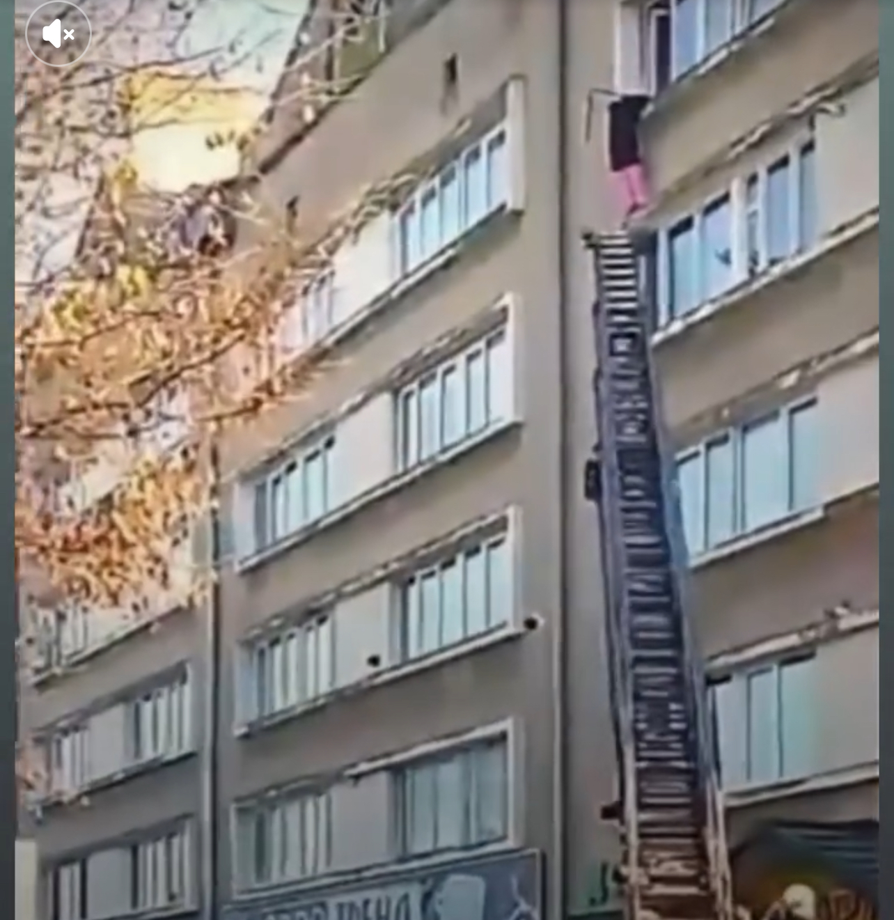 На Львівщині рятувальники зупинили 85-річну жінку, яка погрожувала викинутися з вікна багатоповерхівки (ВІДЕО)