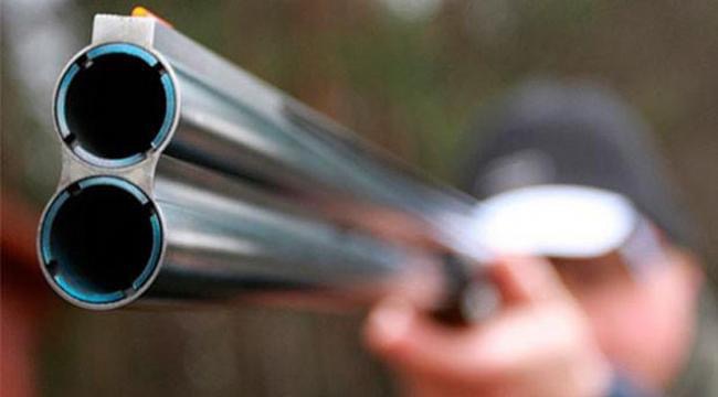 На Львівщині правоохоронці шукають причетних до вбивства кабанів