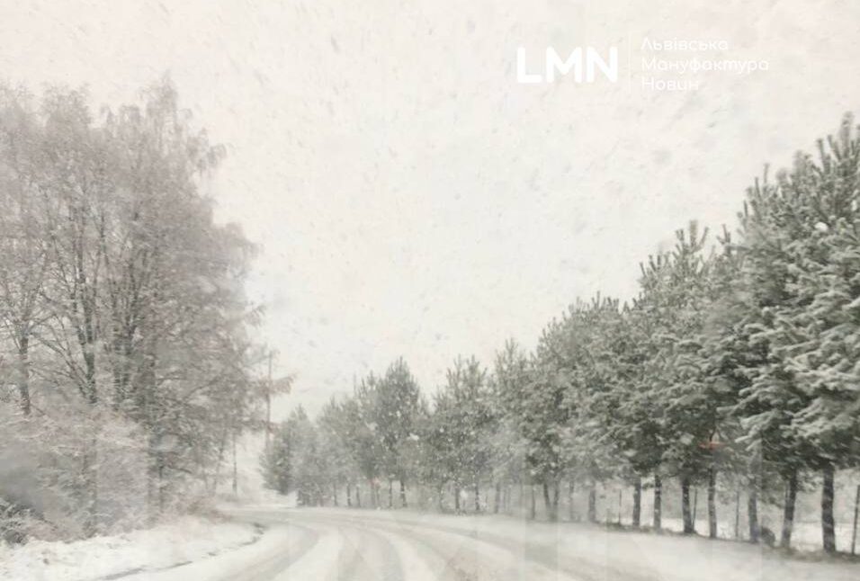 На Львівщині сніжить: водіїв закликають бути обережними на дорозі (ФОТО)