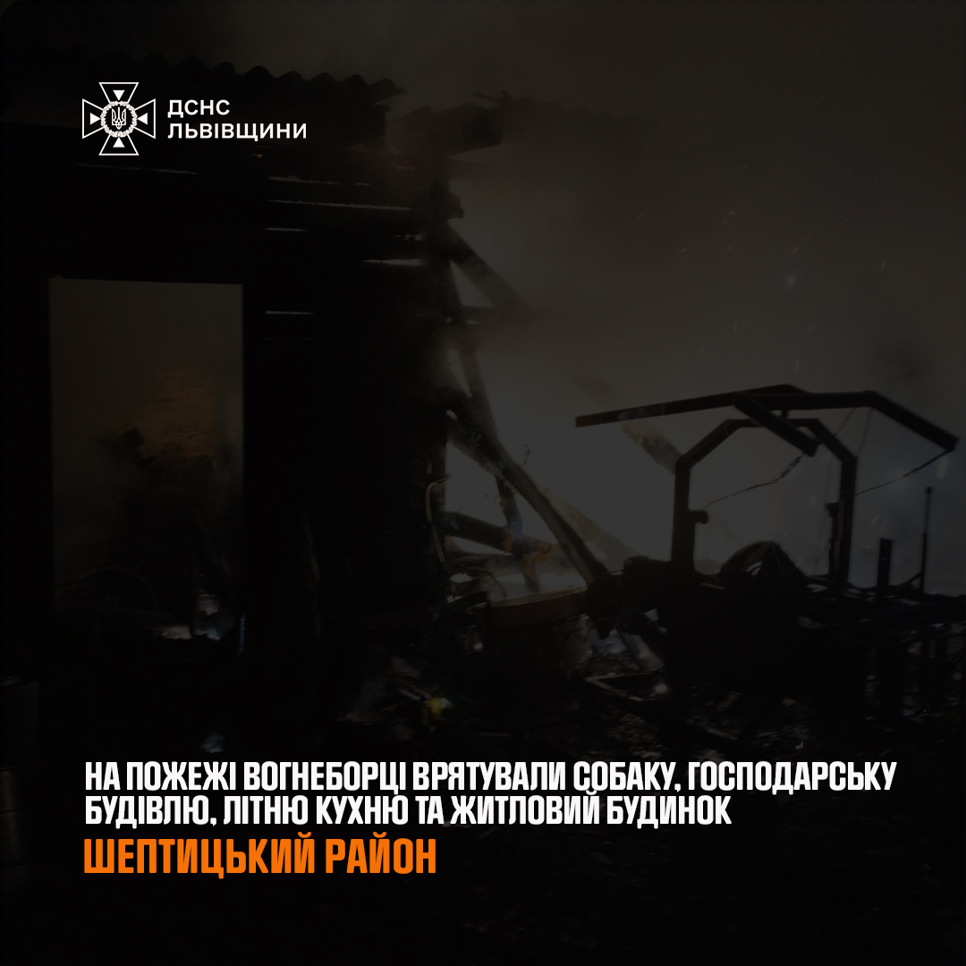 У Червоноградському районі в пожежі вогнеборці врятували собаку