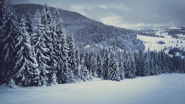 – 11° морозу: якою буде погода на Львівщині у суботу, 14 грудня