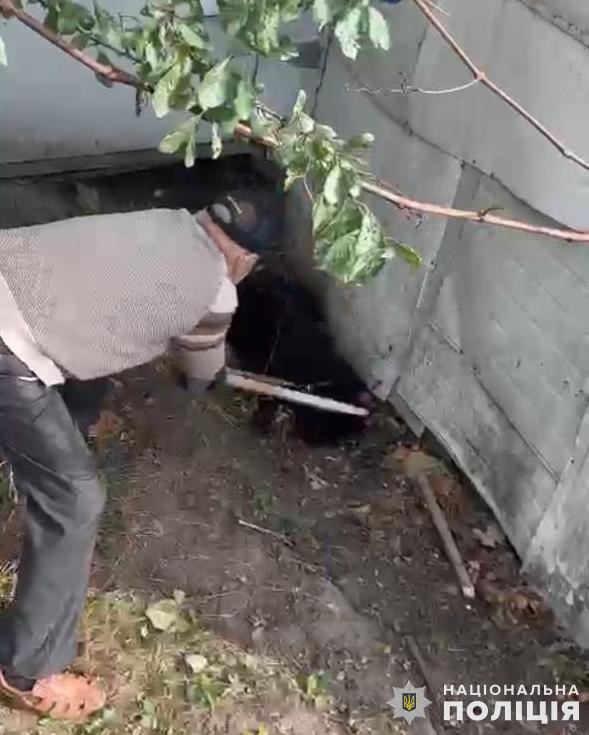 Львів’янину, який жорстоко забив палицею собаку загрожує від 5 до 8 років ув’язнення