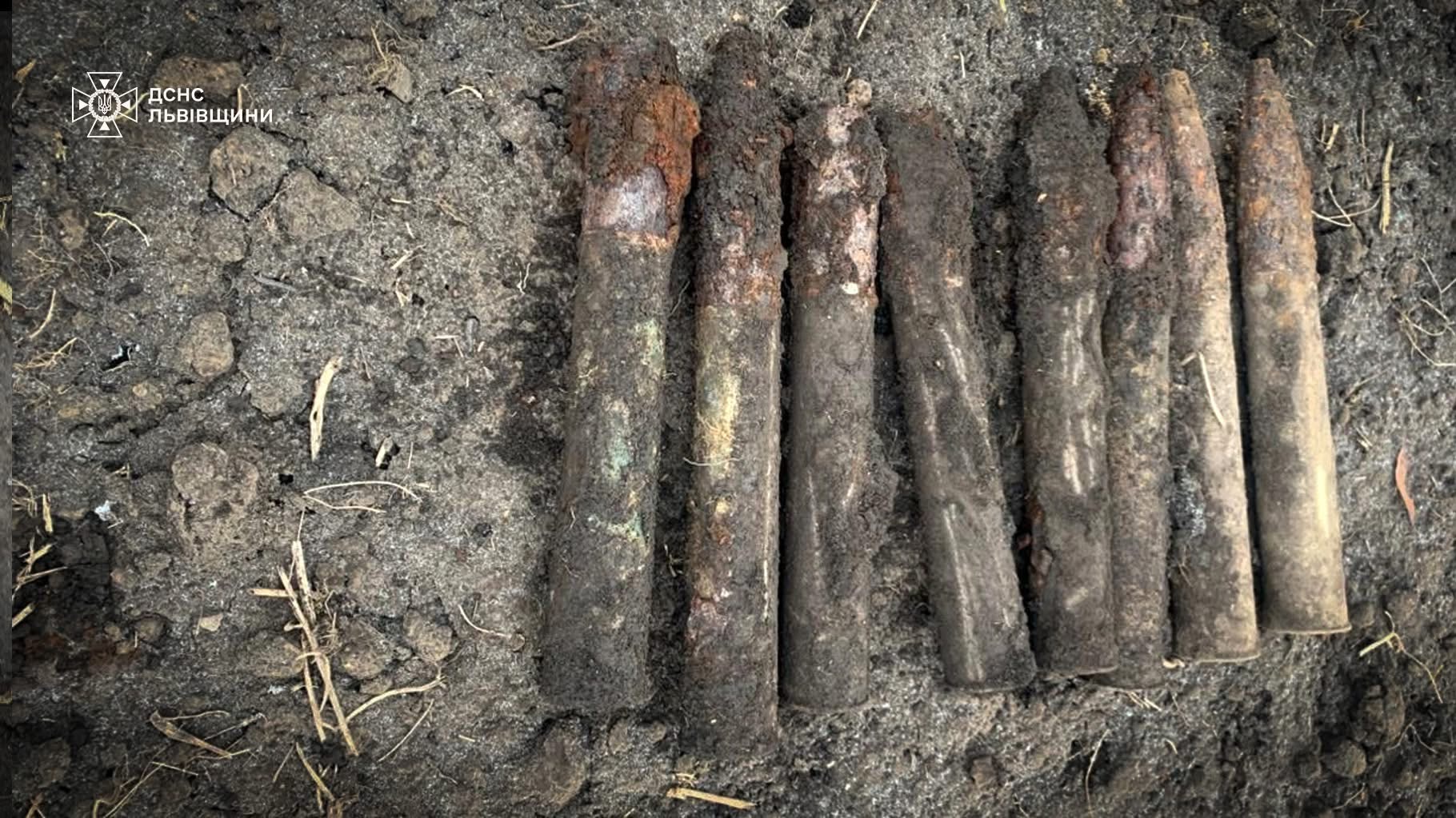 У Шептицькому районі власник приватного господарства виявив боєприпаси часів ІІ Світової війни