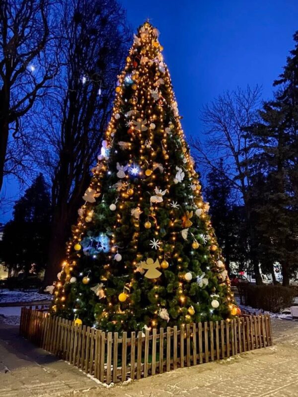У Городку тривають суперечки серед місцевих щодо встановлення головної ялинки міста