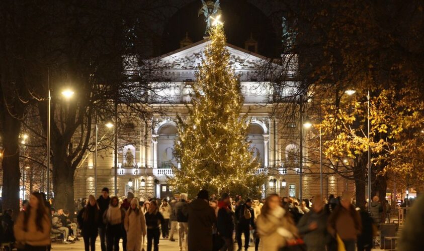 Наступного тижня у Львові демонтують головну ялинку міста