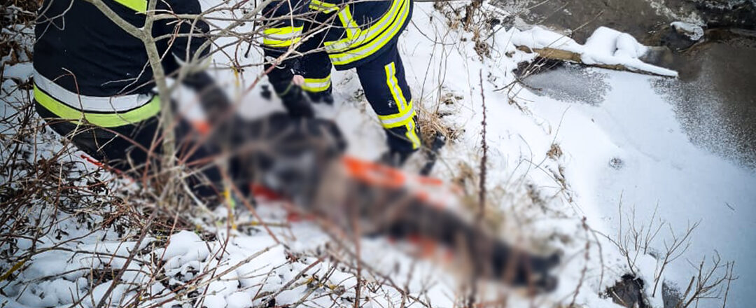 З річки на Львівщині рятувальники витягнули тіло жінки