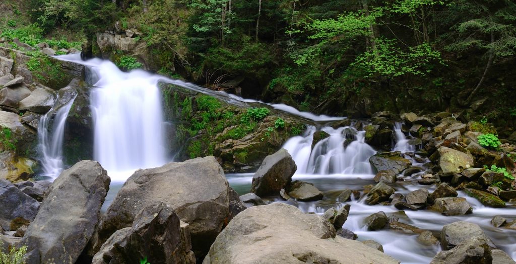 Відтепер відвідувачі парку “Сколівські Бескиди” зможуть скористатись електронним квитком: як придбати