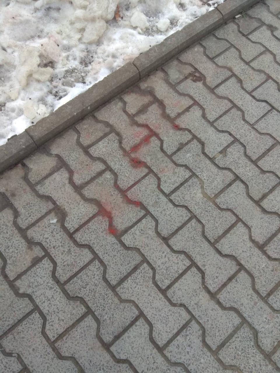 У різних районах Львова розсипали речовину, яка може бути небезпечною для тварин