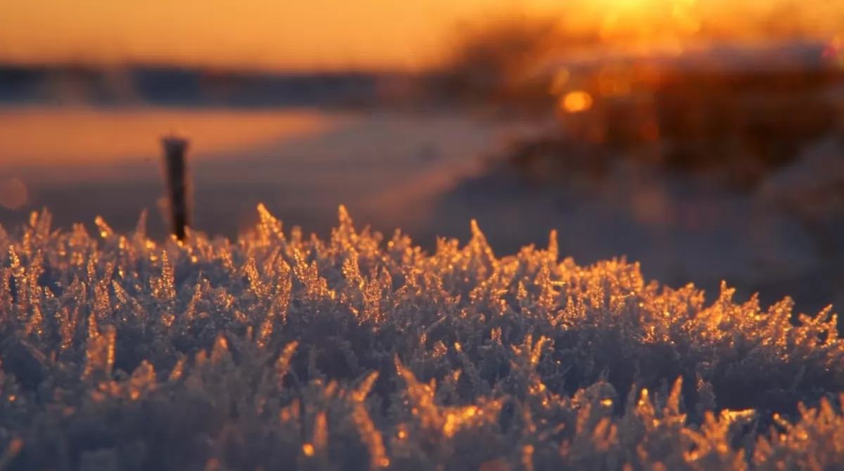 Завтра на Львівщині синоптики обіцяють до 12° тепла