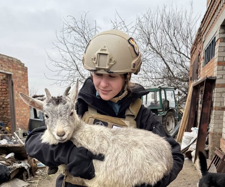 «Домівка врятованих тварин» збирає кошти на утримання 19 кіз, яких евакуювали із Запорізької області