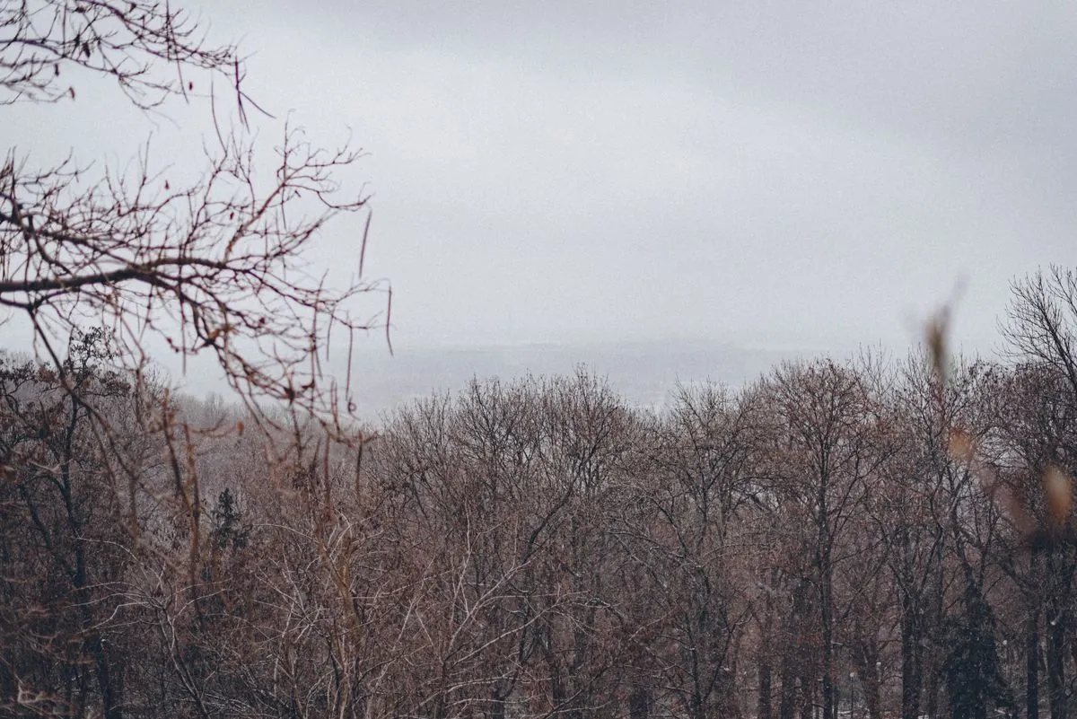 Синоптики розповіли, якої погоди чекати 20 січня на Львівщині