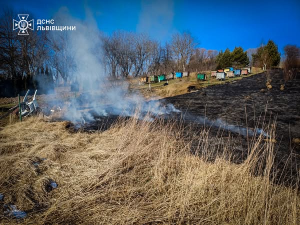 У Самбірському районі під час пожежі сухої трави постраждала жінка: вона у важкому стані