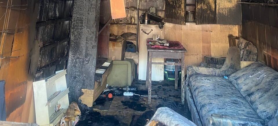 В гаражі у Львові заживо згоріли 11 котів: що кажуть зооволонтери (ВІДЕО)