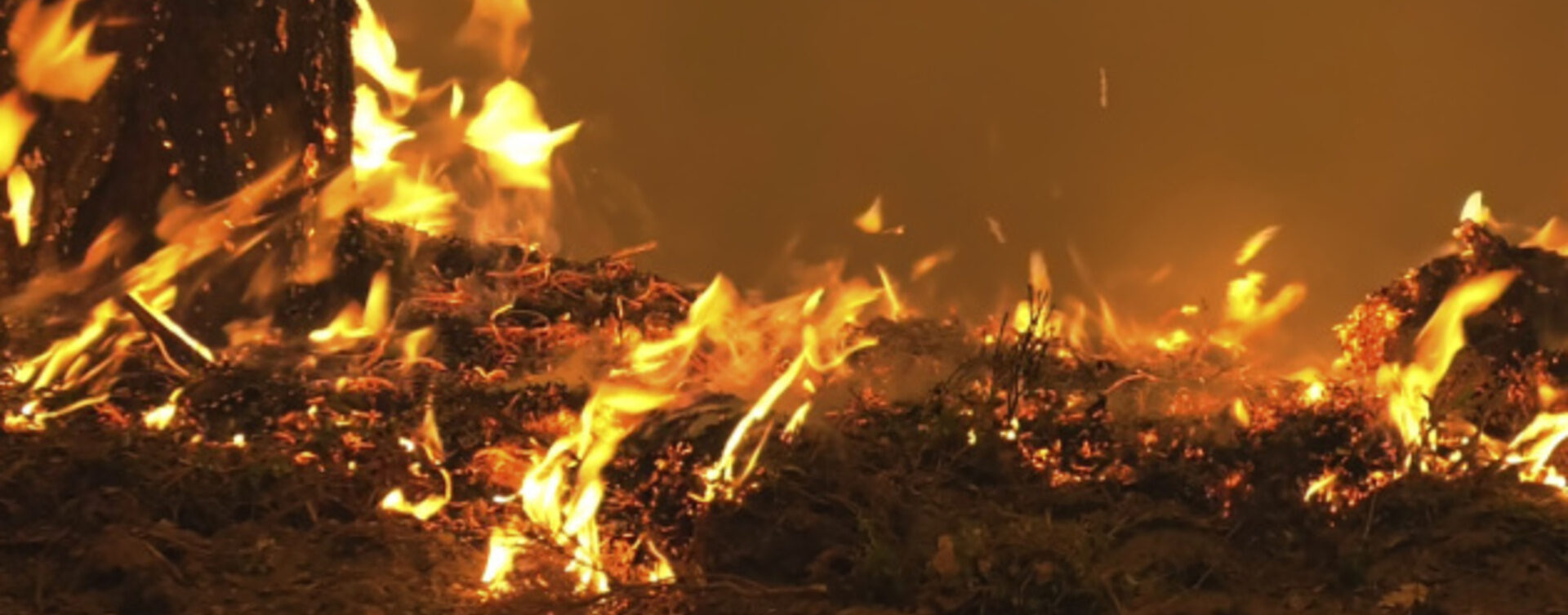 Через пожежу у Львові евакуювали 18 людей, серед них троє дітей