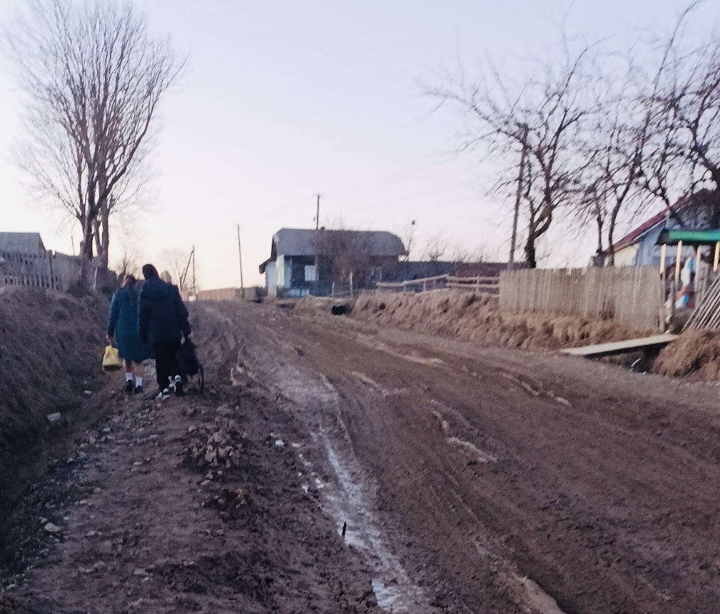 “Машини грузнуть, школярі йдуть пішки”: жителі гірських сіл на Львівщині готуються до акції протесту через критичний стан дороги