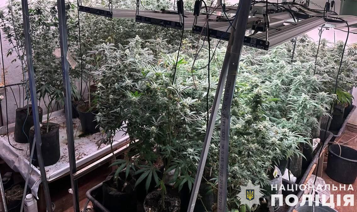 Отримували мільйонні прибутки від продажу наркотиків: серед організаторів – мешканець Львівщини