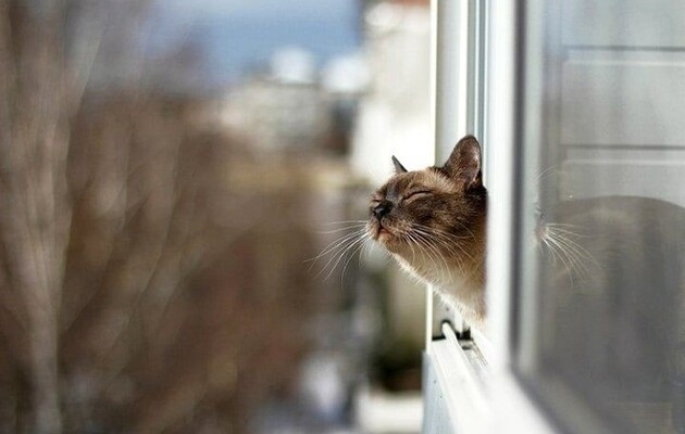 Тепло та без опадів: якою буде погода на Львівщині 27 лютого