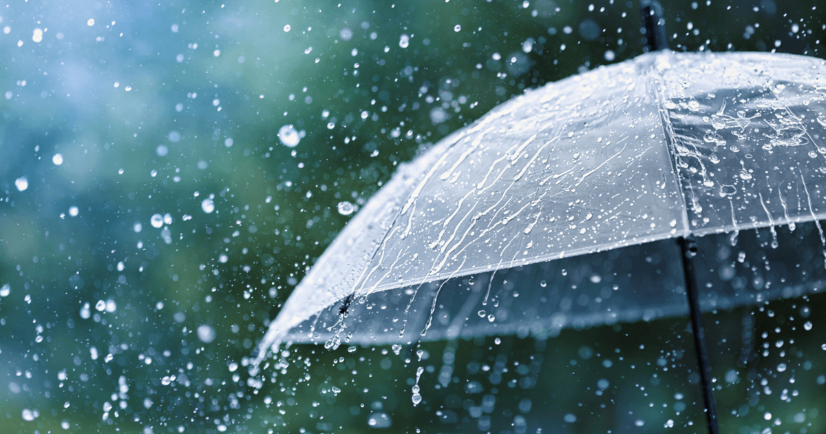 Беріть парасолі: завтра у Львові та області прогнозують дощ