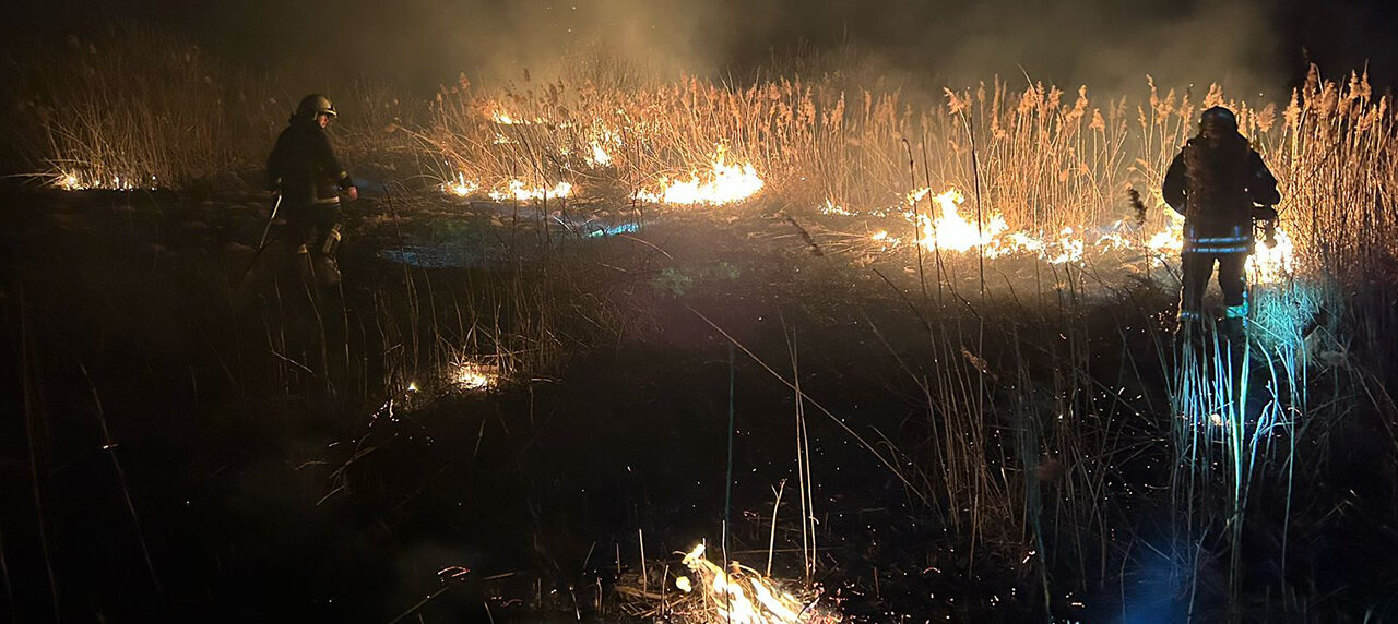 В пожежі сухостою на Львівщині обпік обличчя 60-річний чоловік