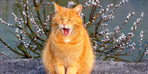 Вдень 8 – 13° тепла: якою буде погода у вівторок на Львівщині