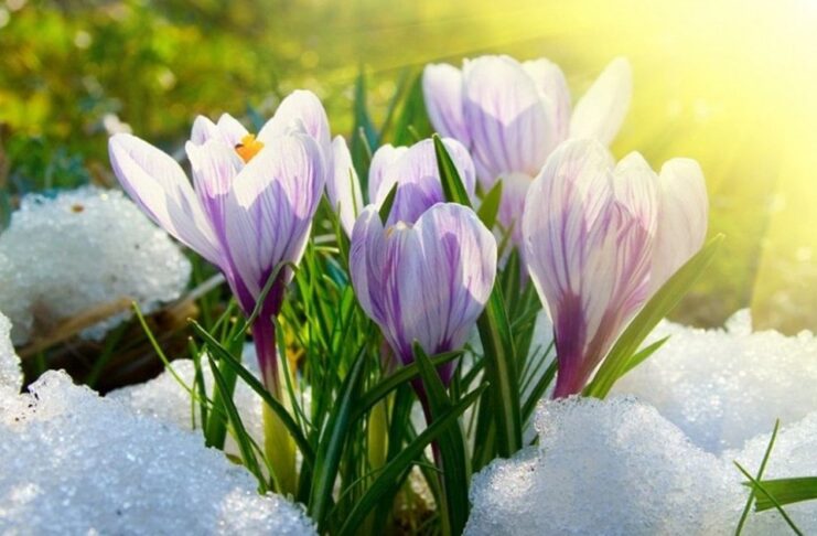 До +19° та без опадів: якою буде погода цієї неділі на Львівщині