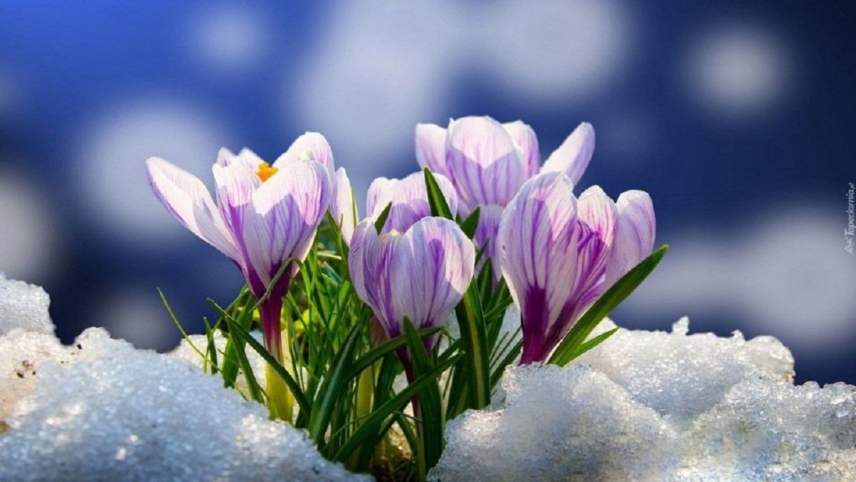 Завтра на Львівщині вдень очікується до 16° тепла