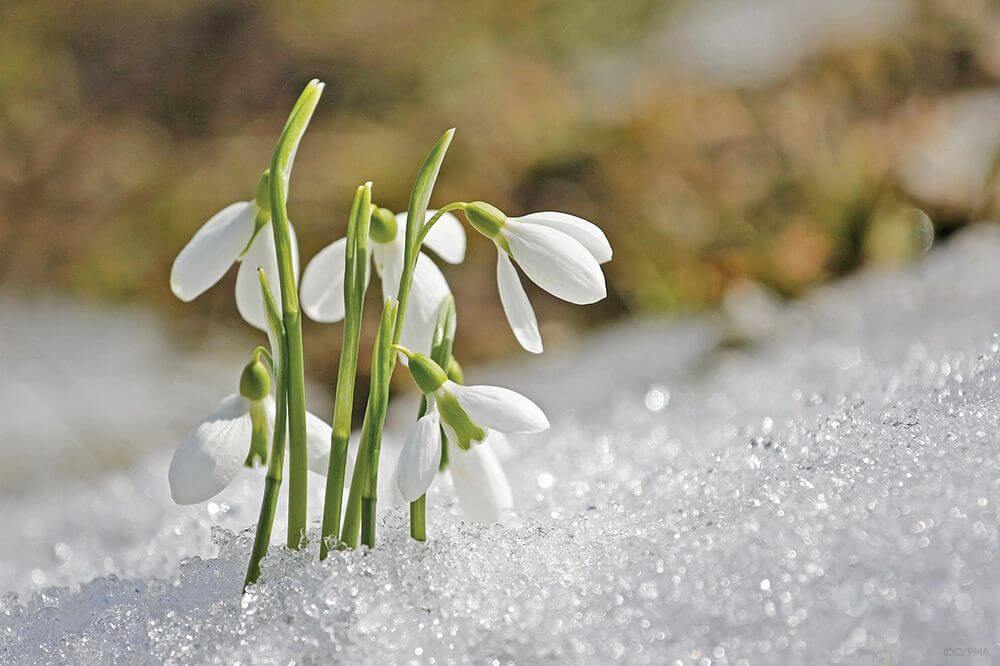 До 19° тепла: якої погоди очікувати завтра на Львівщині