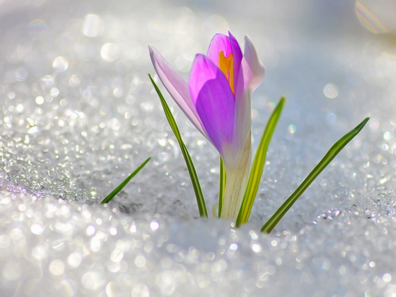 Тепло, але з мінливою хмарністю: якою буде погода на Львівщині 7 березня