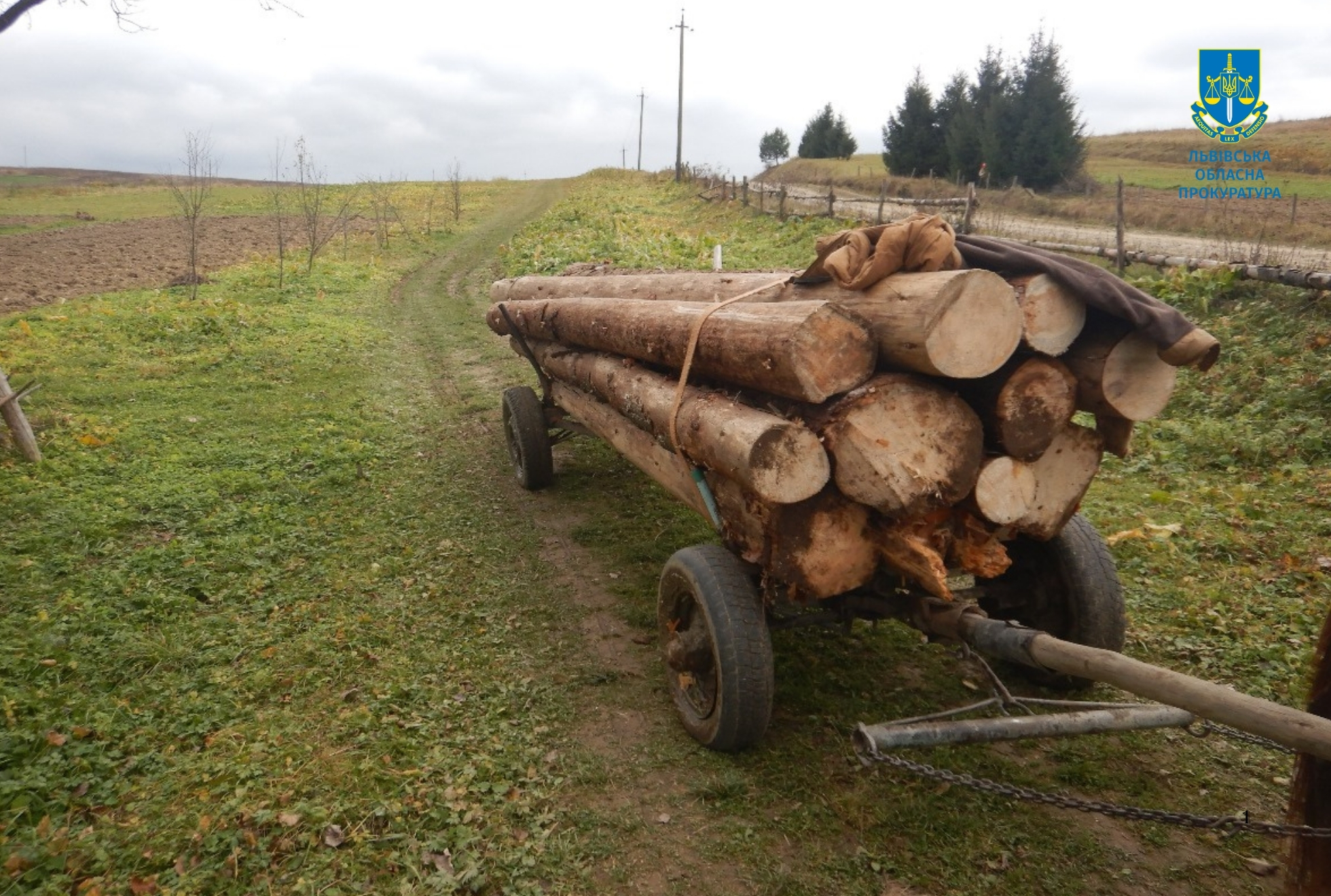 Жителя Самбірщини судили за незаконну порубку дерев на території Національного парку
