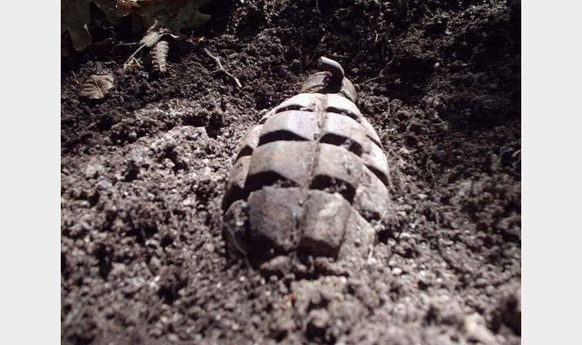 В одному із парків Львова виявили бойову гранату