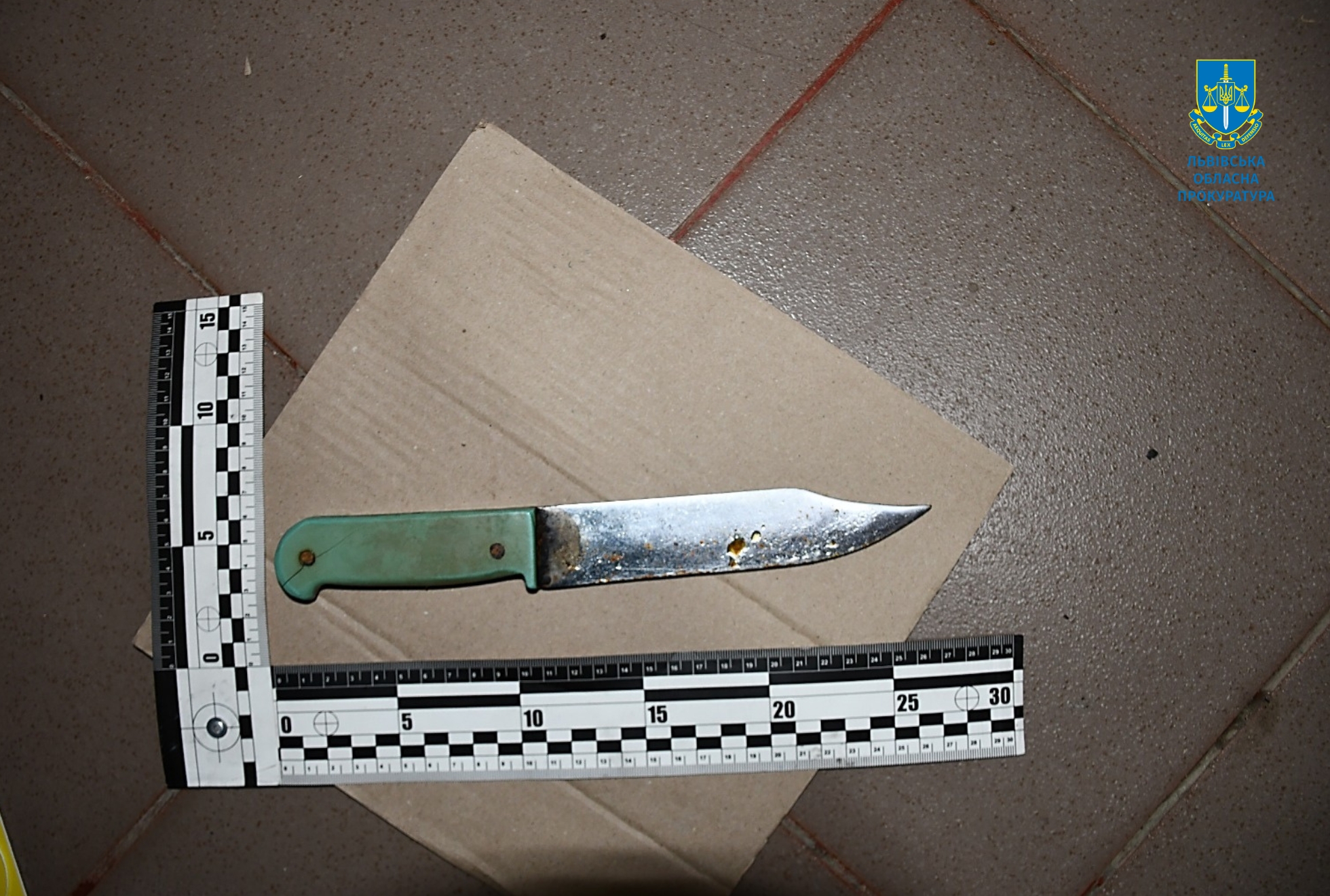 Жителю Моршина присудили 10 років тюрми за жорстоке вбивство жінки