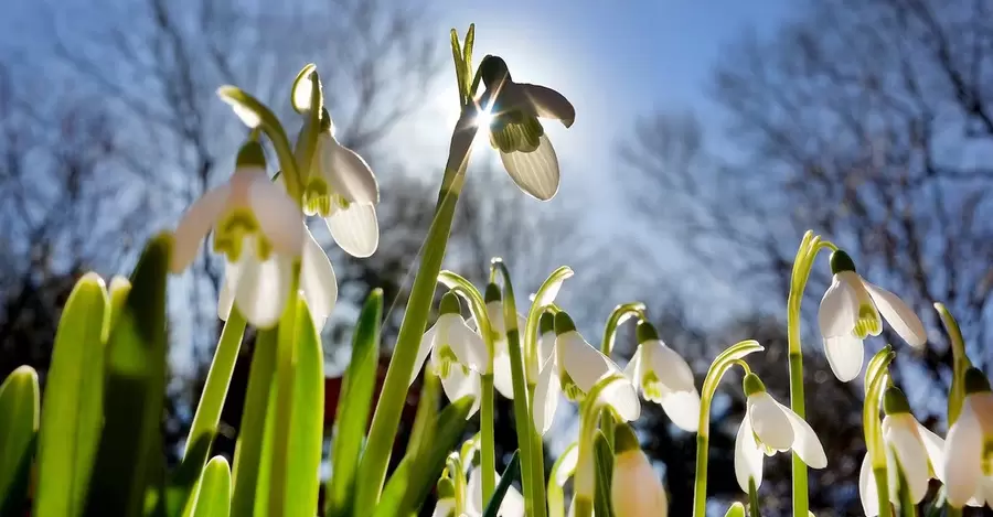 Завтра синоптики прогнозують на Львівщині 16° тепла