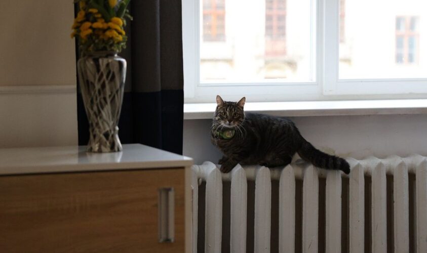 Подачу опалення у Львові сьогодні і завтра призупинятимуть до 20:00 год