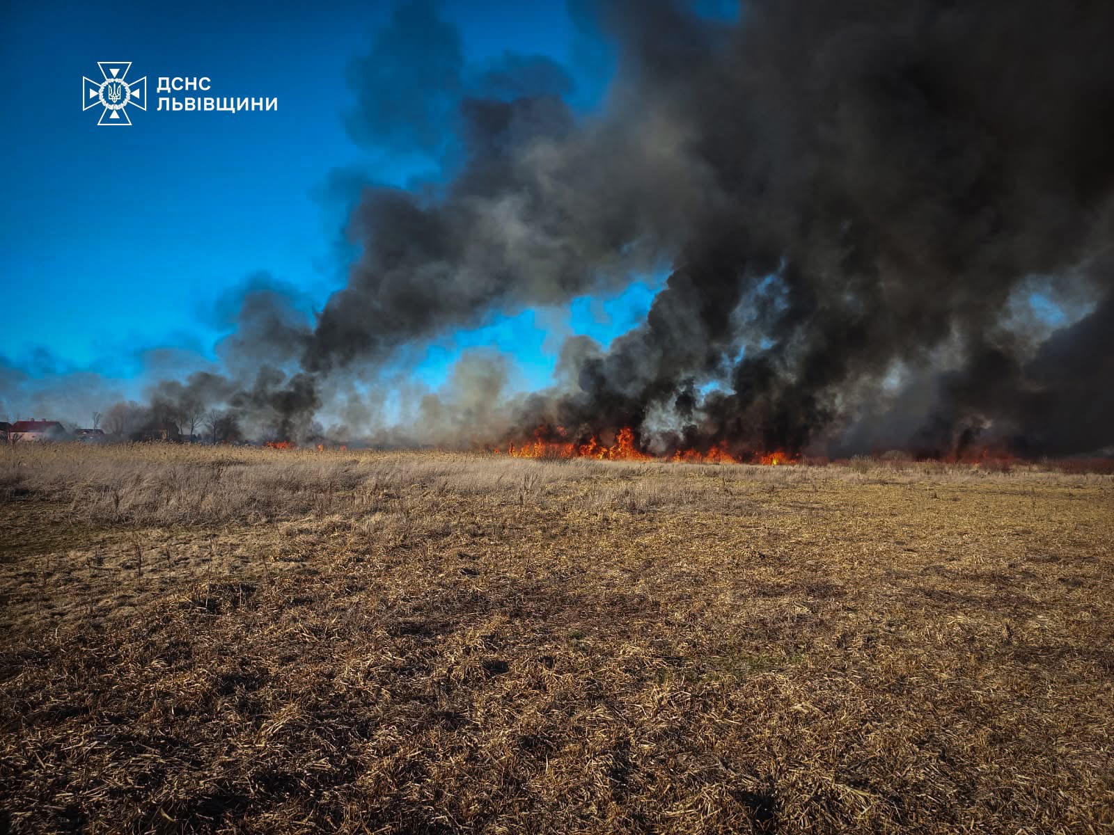 На Львівщині за добу через паліїв сухостою постраждало двоє людей