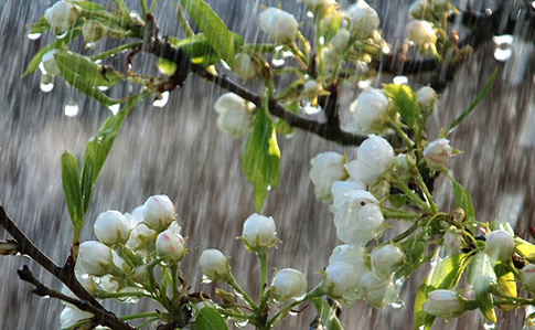 У перший день квітня на Львівщині буде хмарно та дощитиме