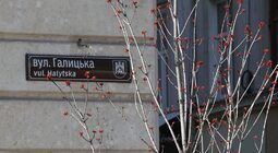 У Львові висадять понад 500 дерев та кущів