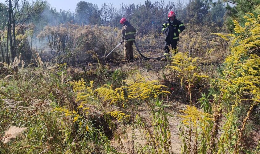 Синоптики попереджають про високу пожежну небезпеку на 21-22 квітня