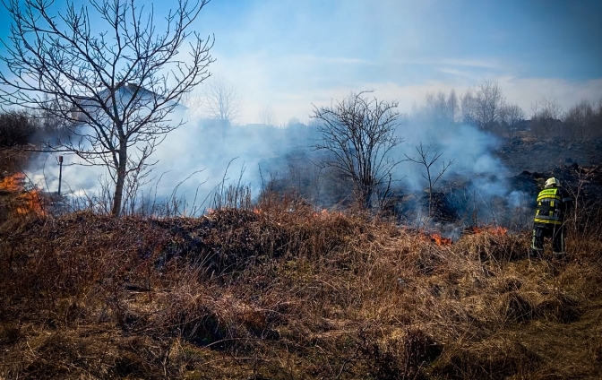 За добу на Львівщині зафіксували 29 пожеж