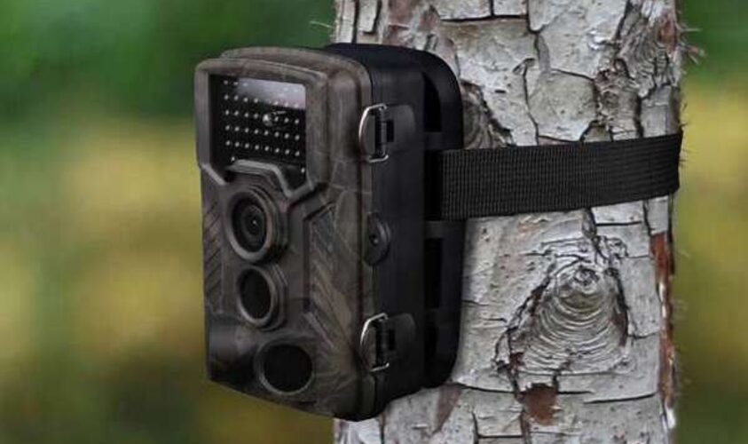 Працюють фотопастки: мешканців Львівської громади застерігають від викидання сміття у невстановлених місцях