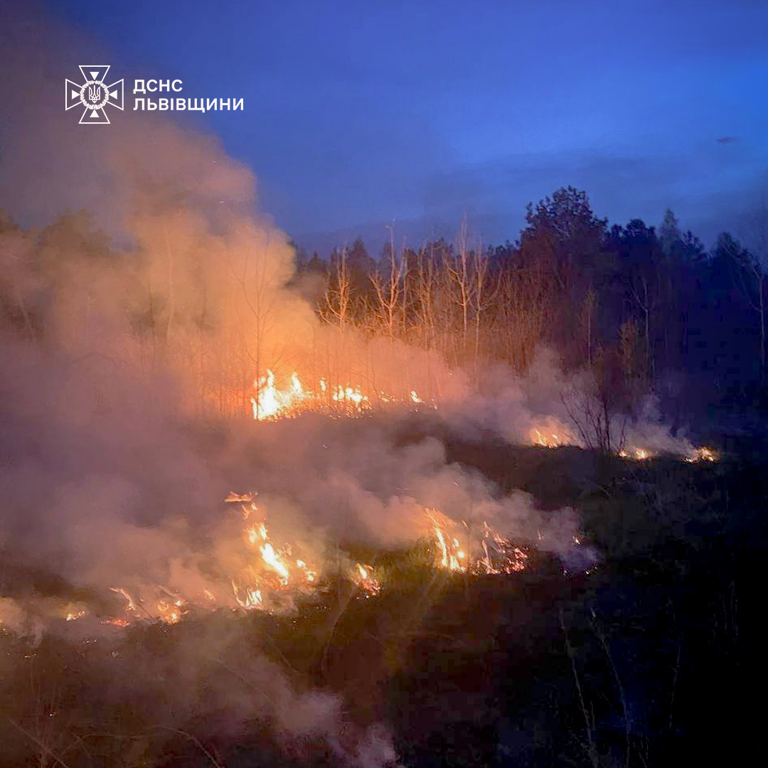 Масштабна пожежа через підпал сухостою: на Львівщині згоріло 11 будинків