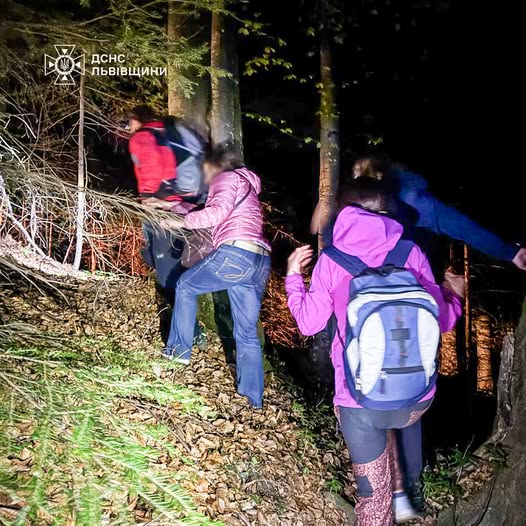 На Стрийщині в лісовому масиві заблукали троє людей