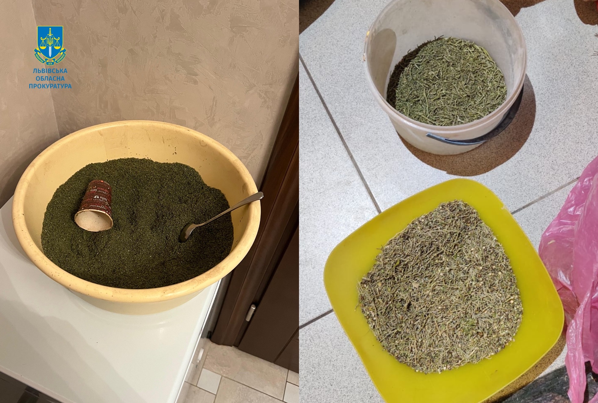 На Львівщині судитимуть чоловіка за зберігання 3 кг канабісу