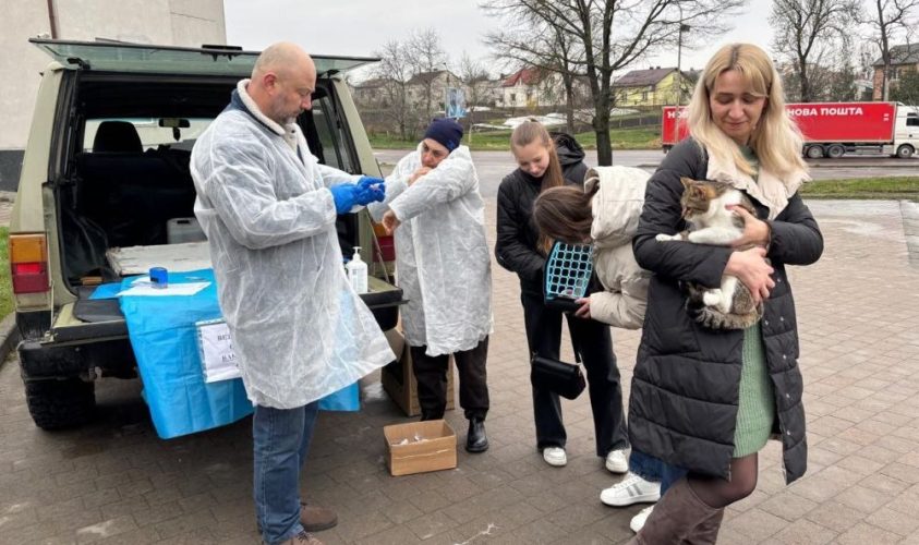 У Малехові безкоштовно провакцинували від сказу понад 30 тварин