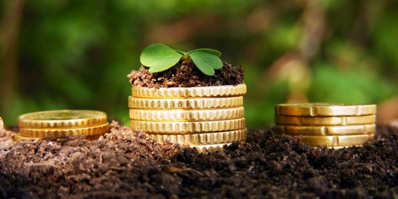 На Львівщині в громадянки рф конфіскували півтора гектара землі