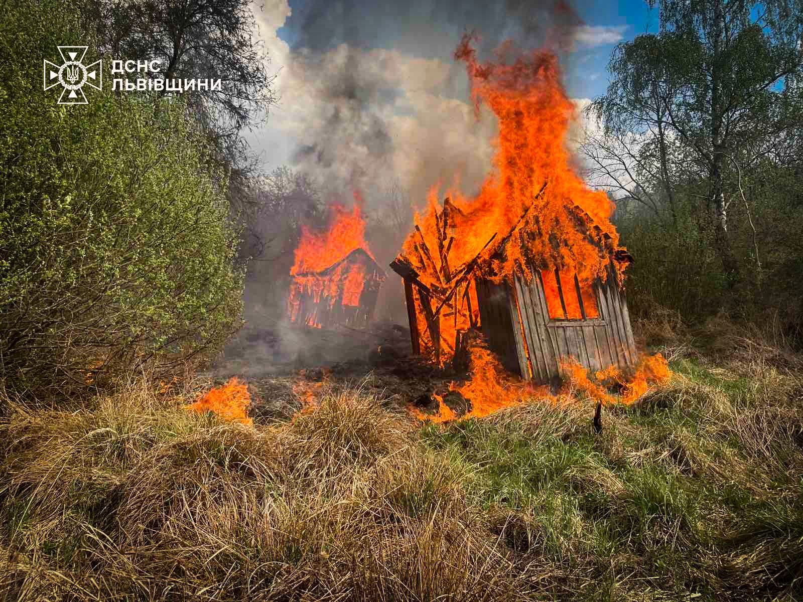 У Соснівці вогонь знищив 9 дачних будинків
