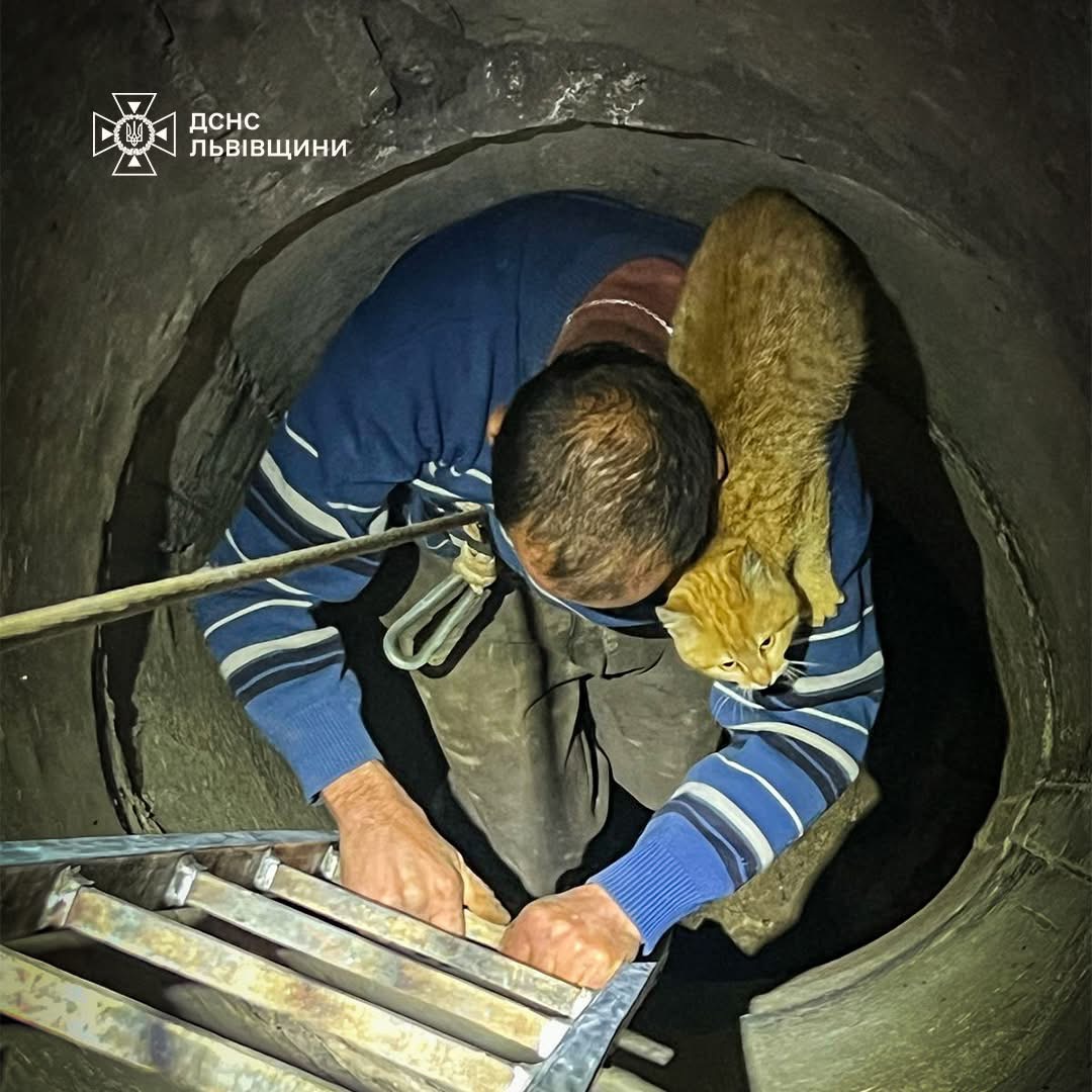 Намагався врятувати кота: у Львівському районі чоловік впав у криницю