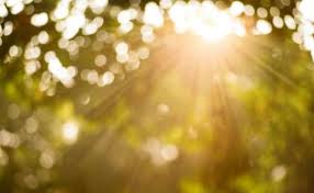 Сьогодні на Львівщині очікується до 25° тепла