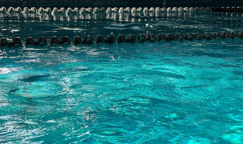 Діти з особливими освітніми потребами можуть безкоштовно займатись плаванням у шкільних басейнах Львова